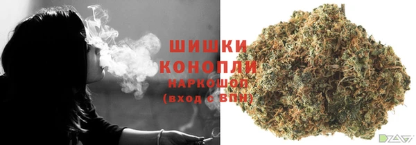 хмурый Покачи