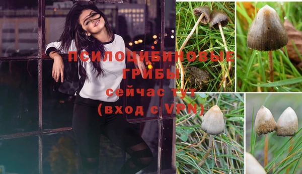 ALPHA-PVP Покровск