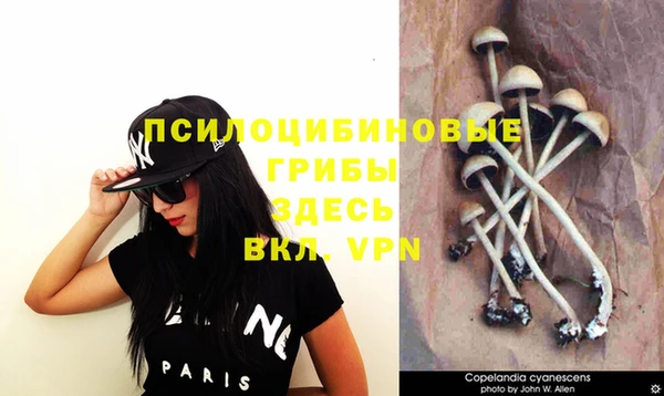 хмурый Покачи