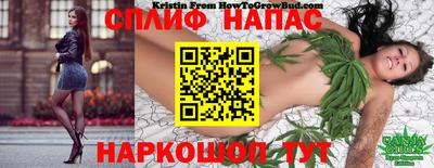 скорость Дубна