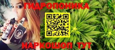 скорость Дубна
