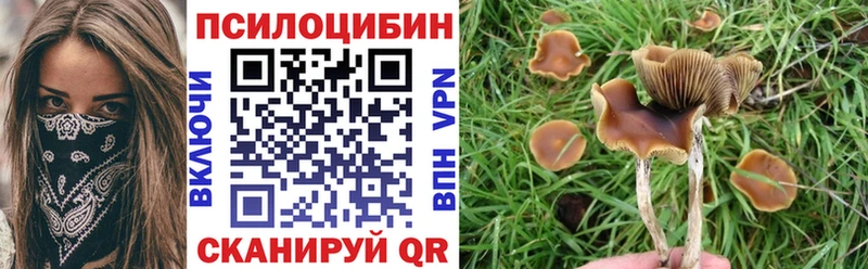 Галлюциногенные грибы Psilocybine cubensis  сайты даркнета состав  Полевской 