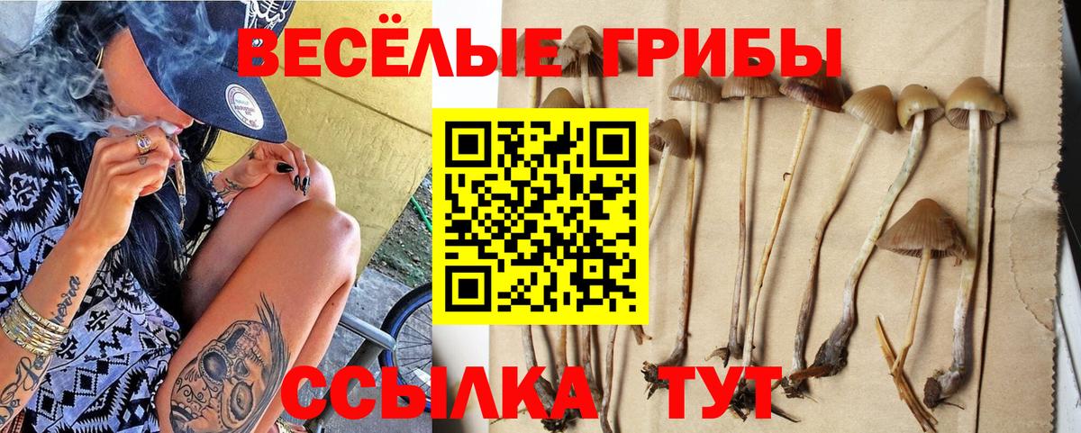 Галлюциногенные грибы ЛСД Полевской