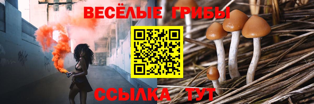 Галлюциногенные грибы мицелий  Вход с VPN  Псилоцибиновые грибы мицелий  Полевской 